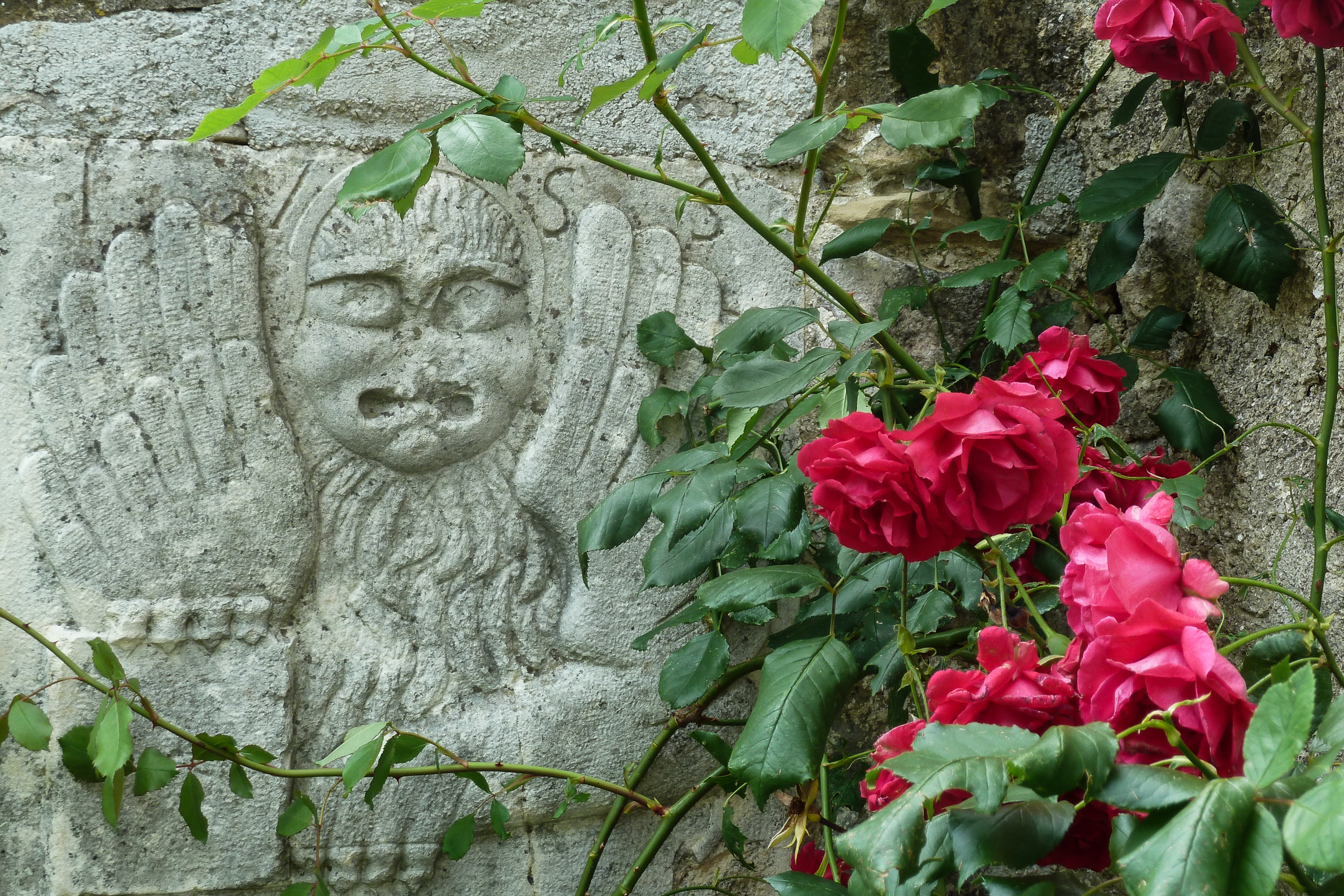 Motovun – Matiki: Trüffel, Schotter und ein Nagel